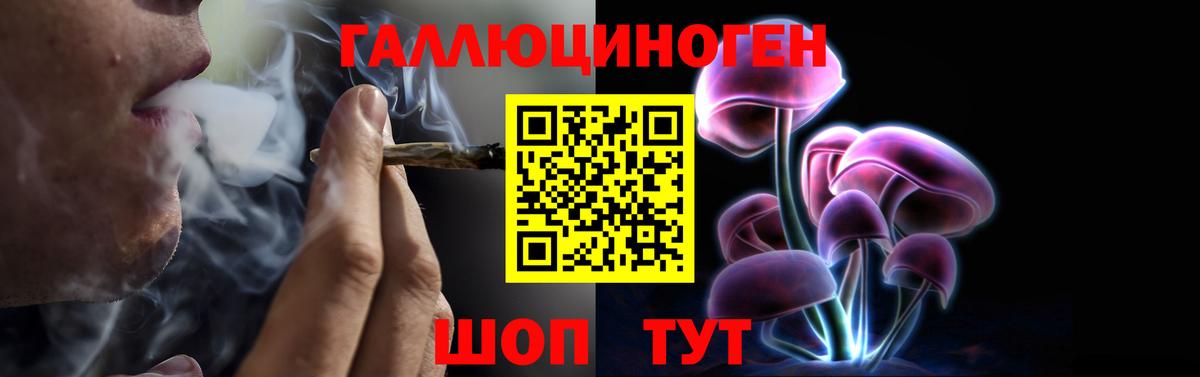 Псилоцибиновые грибы Cubensis  Галлюциногенные грибы MAGIC MUSHROOMS  Урай  Вход с VPN 